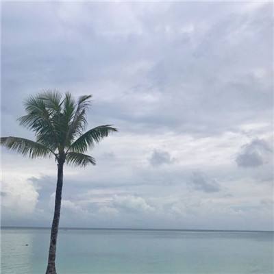 南宫体育app下载app下载