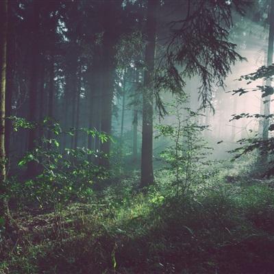 星空体育平台官网